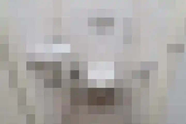 Du Meelaan 208 Zoetermeer thumbnail 25