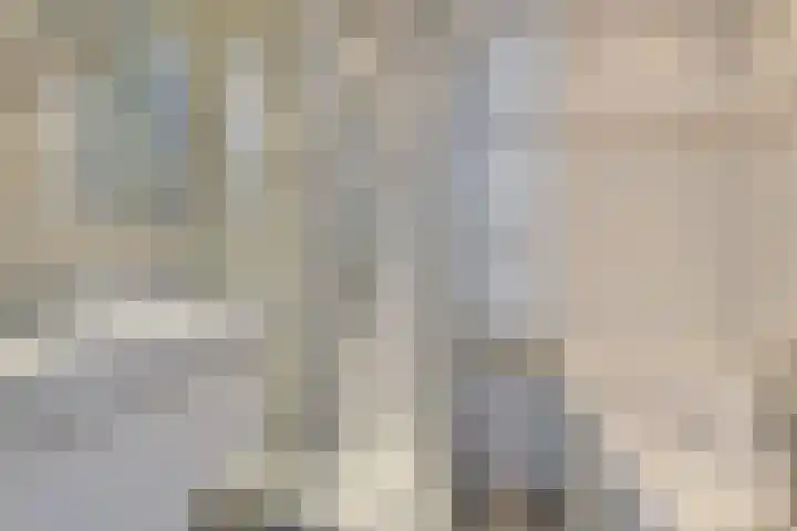 Du Meelaan 208 Zoetermeer thumbnail 27