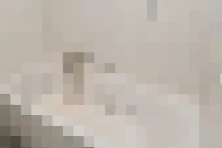 Du Meelaan 208 Zoetermeer thumbnail 28