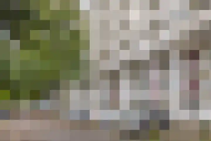 Du Meelaan 208 Zoetermeer thumbnail 5