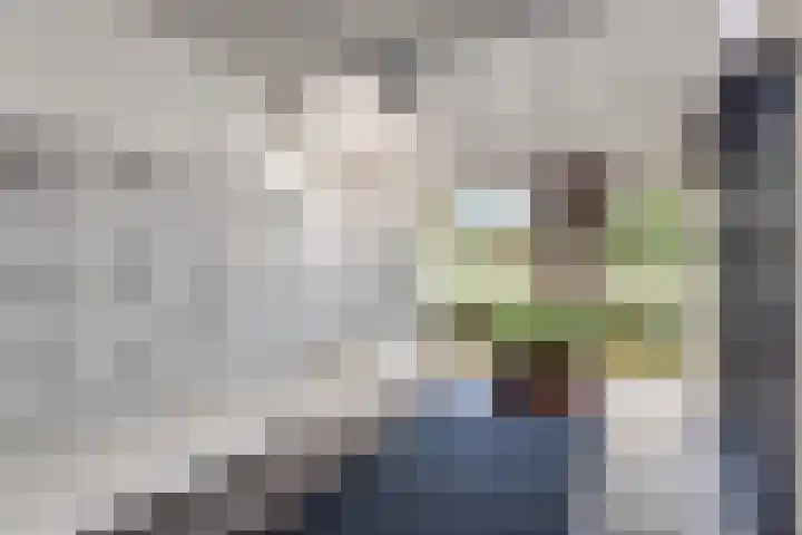 Du Meelaan 208 Zoetermeer thumbnail 7