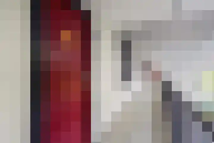Du Meelaan 208 Zoetermeer thumbnail 9