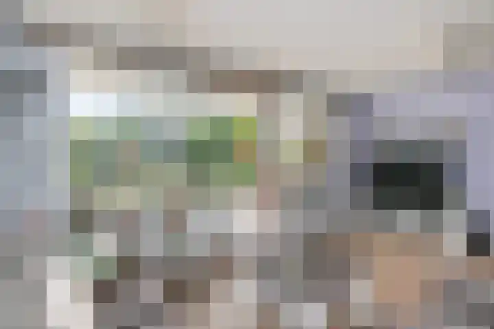 Du Meelaan 302 Zoetermeer thumbnail 10