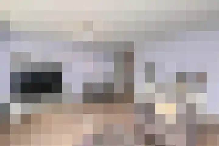 Du Meelaan 302 Zoetermeer thumbnail 11