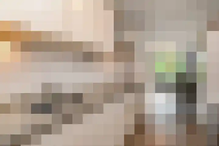 Du Meelaan 302 Zoetermeer thumbnail 15