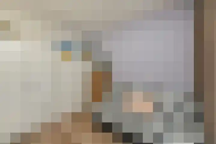 Du Meelaan 302 Zoetermeer thumbnail 19
