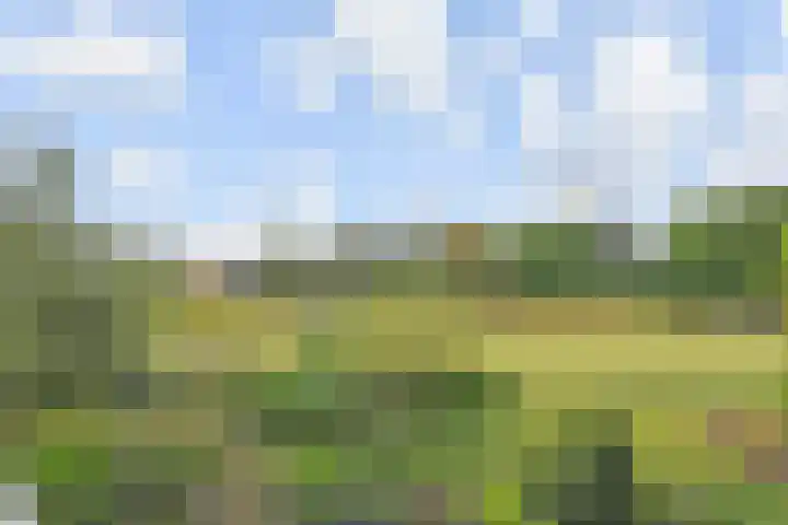 Du Meelaan 302 Zoetermeer thumbnail 25