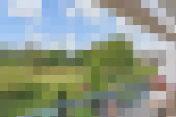 Du Meelaan 302 Zoetermeer thumbnail 27