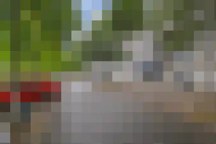 Du Meelaan 302 Zoetermeer thumbnail 32