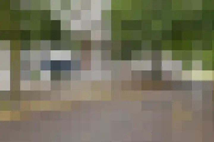 Du Meelaan 302 Zoetermeer thumbnail 33