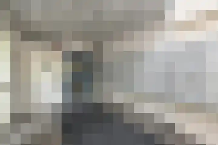 Du Meelaan 302 Zoetermeer thumbnail 35