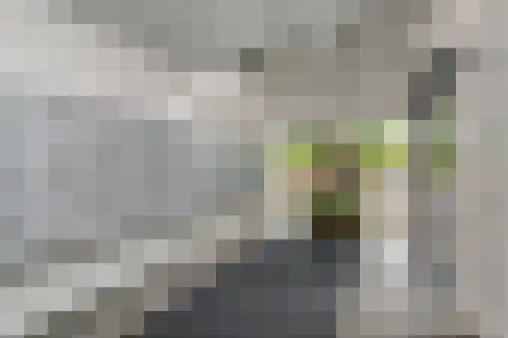 Du Meelaan 302 Zoetermeer thumbnail 36