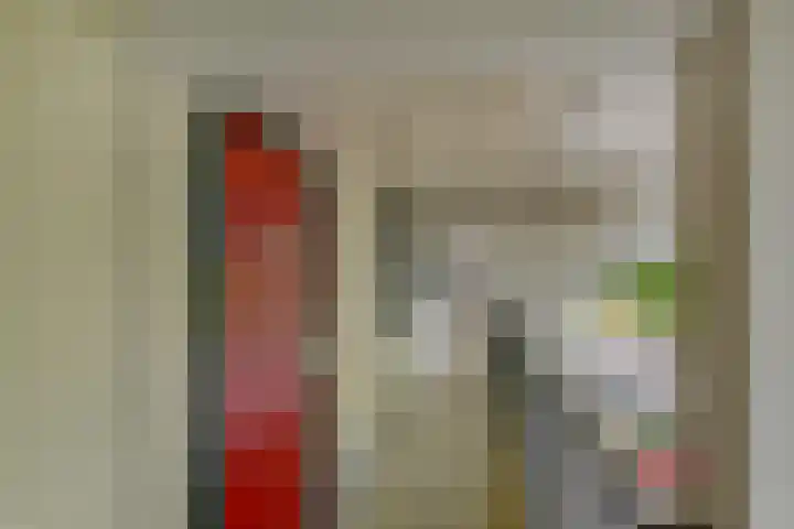 Du Meelaan 302 Zoetermeer thumbnail 5