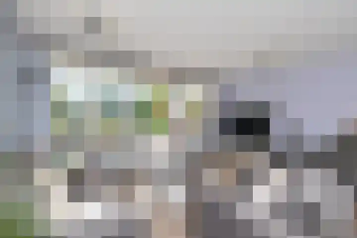 Du Meelaan 302 Zoetermeer thumbnail 9