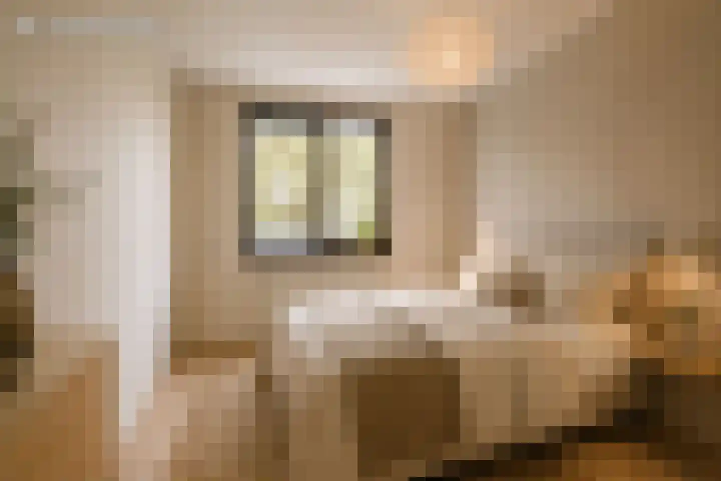 Du Meelaan 318 Zoetermeer thumbnail 17