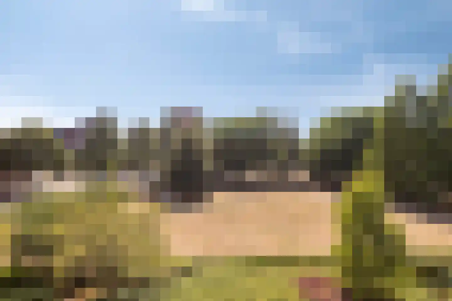 Du Meelaan 318 Zoetermeer thumbnail 20