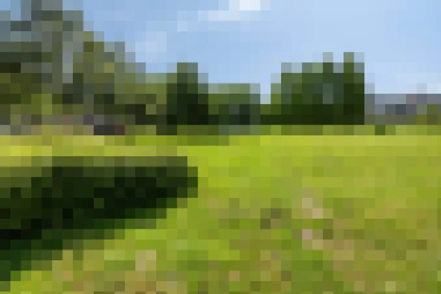 Du Meelaan 318 Zoetermeer thumbnail 24