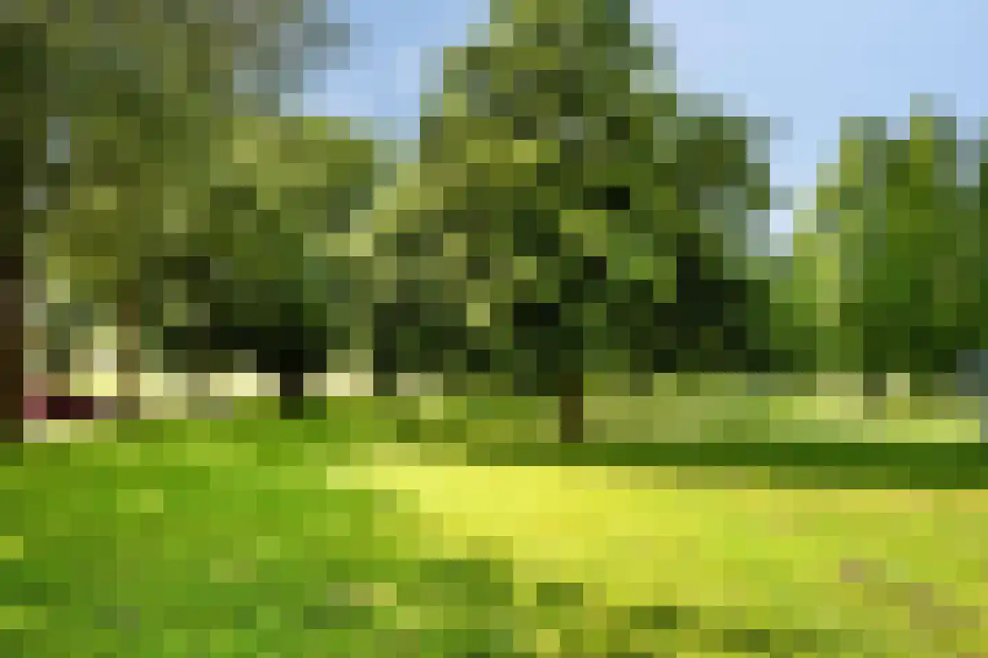 Du Meelaan 318 Zoetermeer thumbnail 25