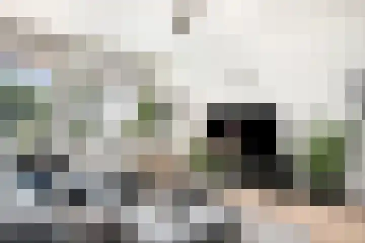 Du Meelaan 400 Zoetermeer thumbnail 13