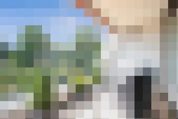 Du Meelaan 400 Zoetermeer thumbnail 28