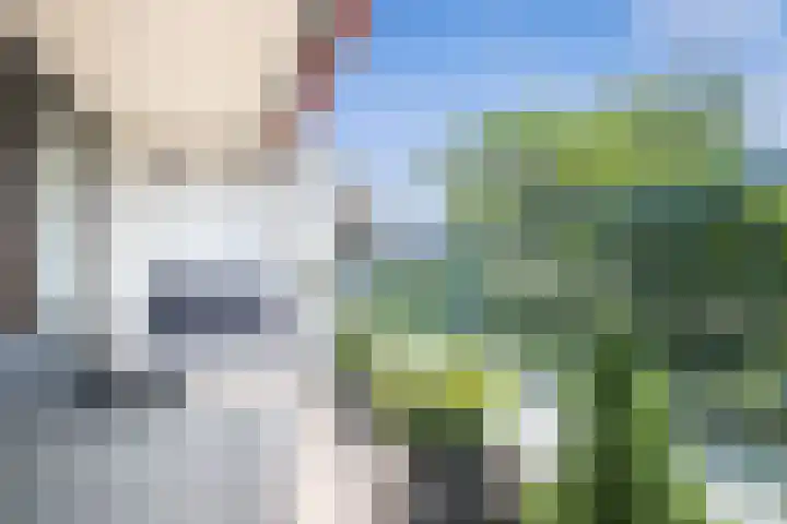 Du Meelaan 400 Zoetermeer thumbnail 29