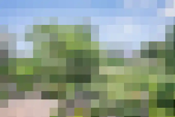 Du Meelaan 400 Zoetermeer thumbnail 30