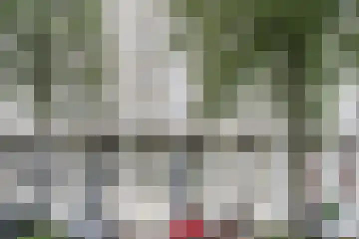 Du Meelaan 400 Zoetermeer thumbnail 33