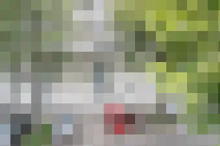 Du Meelaan 400 Zoetermeer thumbnail 35