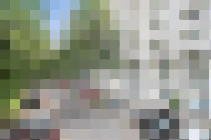 Du Meelaan 400 Zoetermeer thumbnail 36