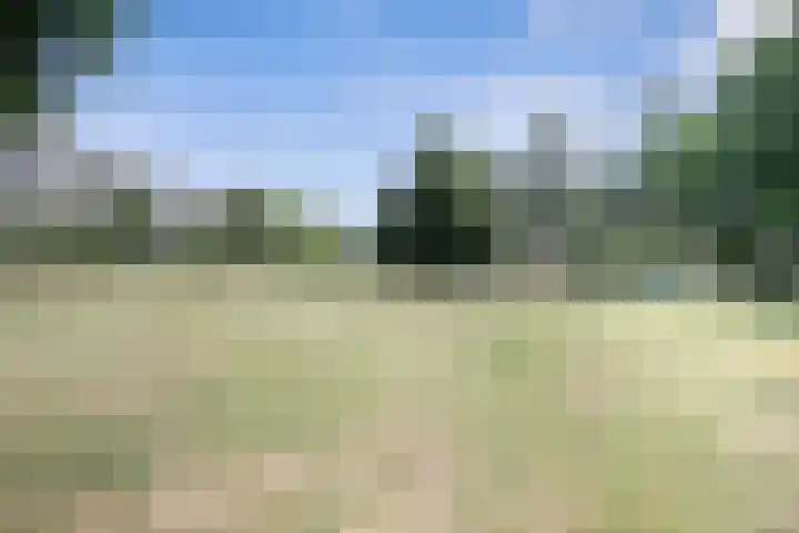 Du Meelaan 400 Zoetermeer thumbnail 37