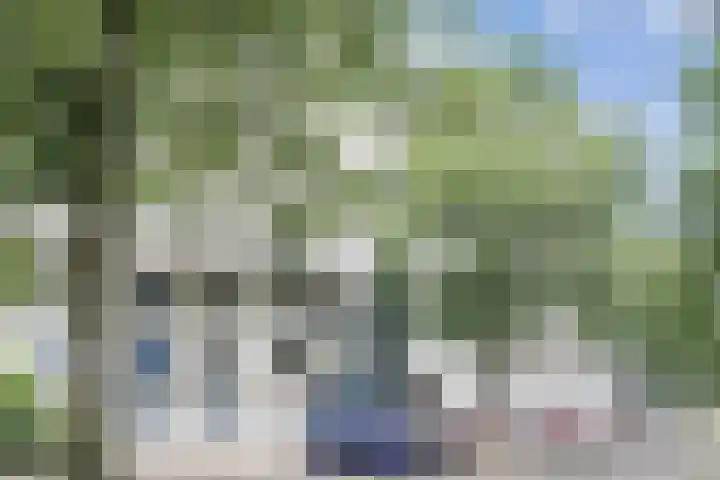 Du Meelaan 400 Zoetermeer thumbnail 4