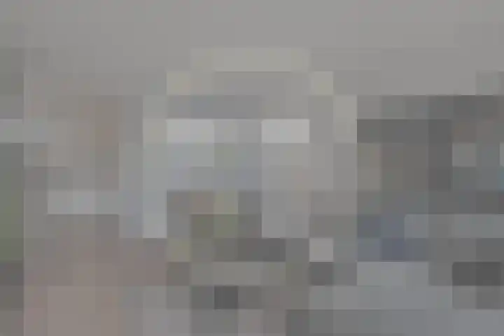Du Meelaan 400 Zoetermeer thumbnail 5