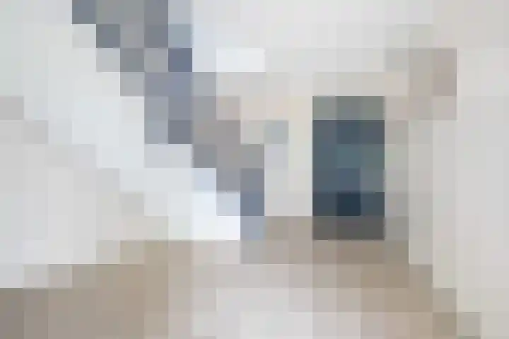 Du Meelaan 400 Zoetermeer thumbnail 8