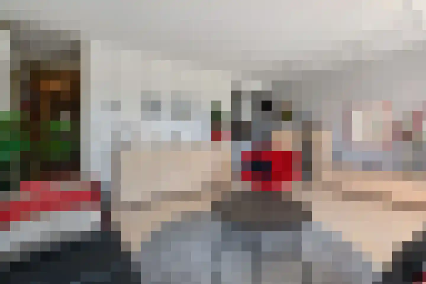 Du Meelaan 416 Zoetermeer thumbnail 17