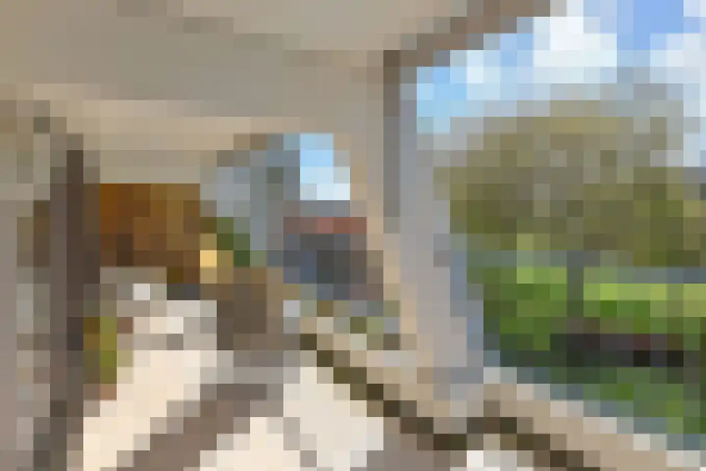 Du Meelaan 416 Zoetermeer thumbnail 20