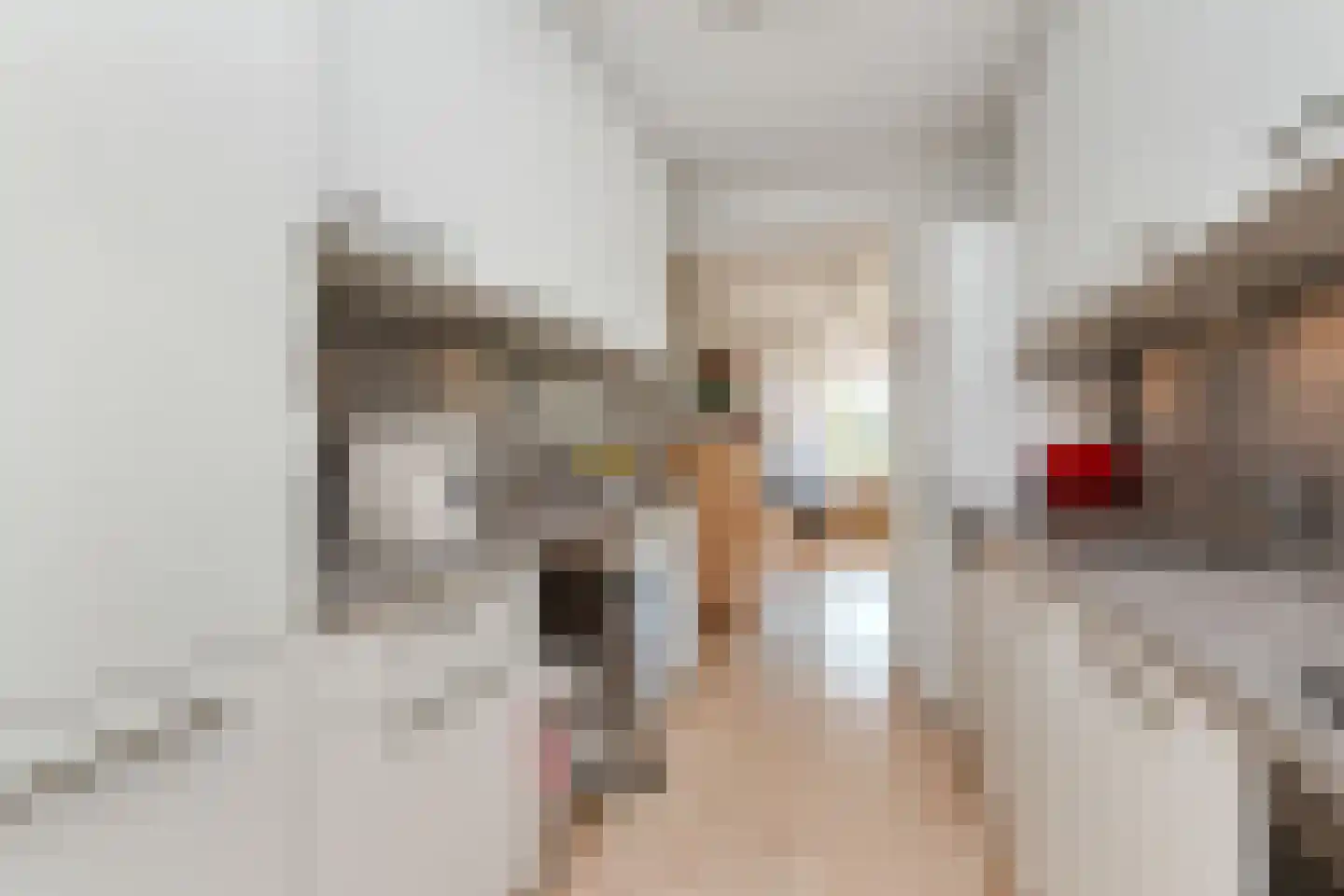 Du Meelaan 416 Zoetermeer thumbnail 28