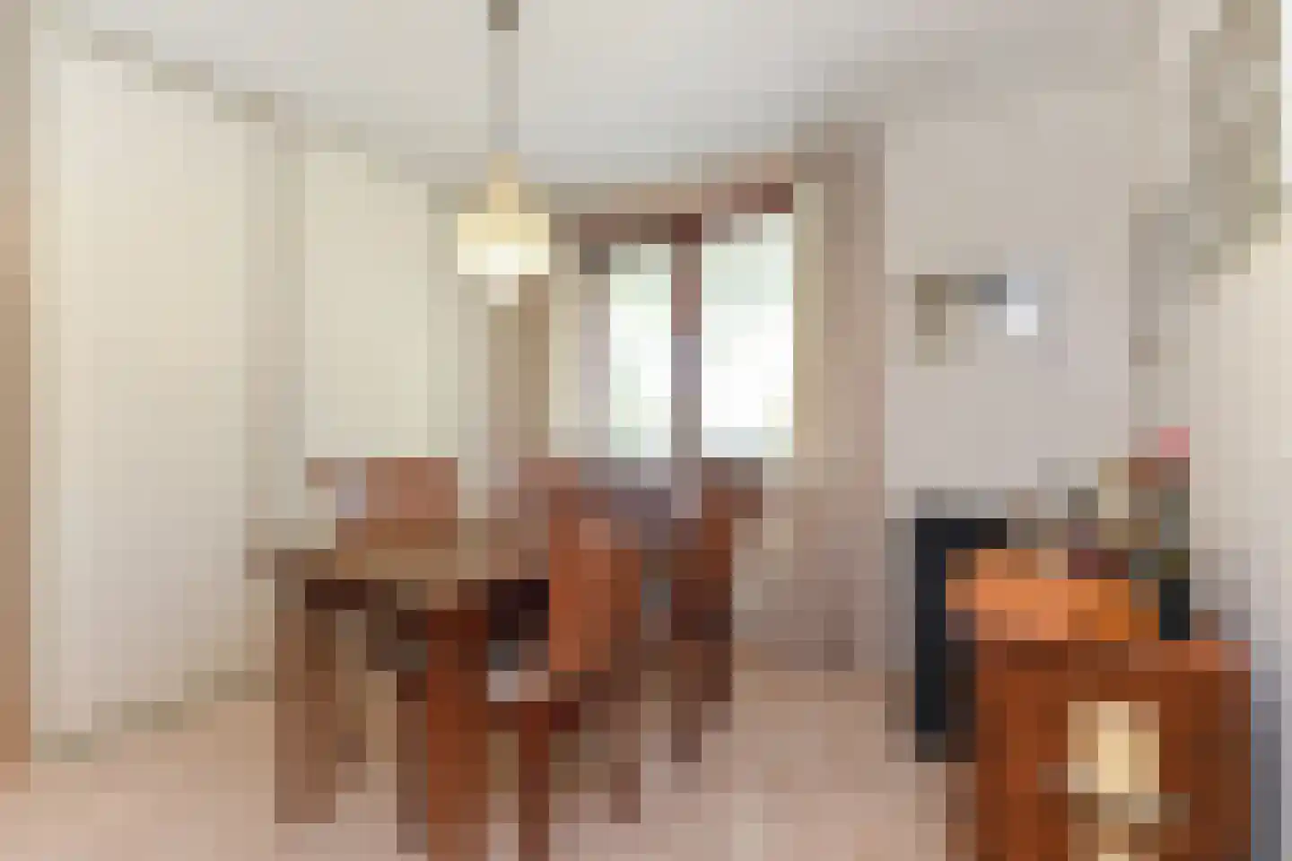 Du Meelaan 416 Zoetermeer thumbnail 30
