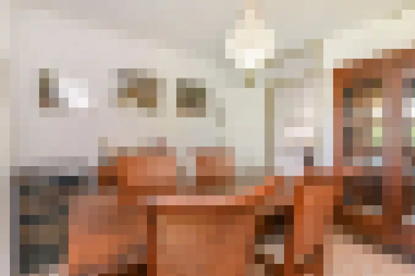 Du Meelaan 416 Zoetermeer thumbnail 31