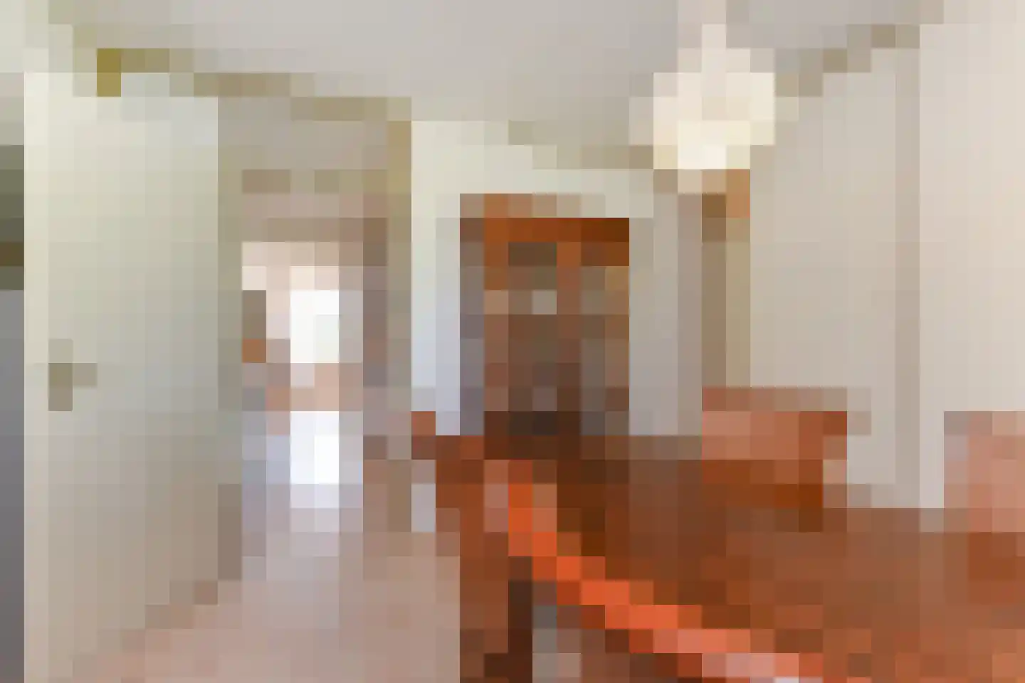 Du Meelaan 416 Zoetermeer thumbnail 32