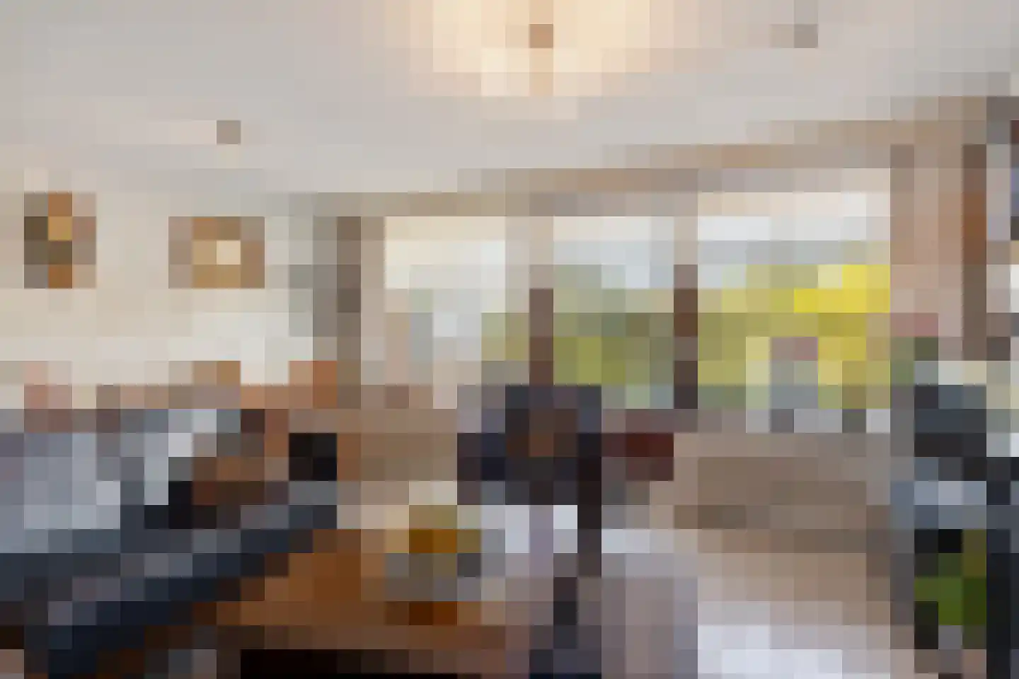 Du Meelaan 434 Zoetermeer thumbnail 23