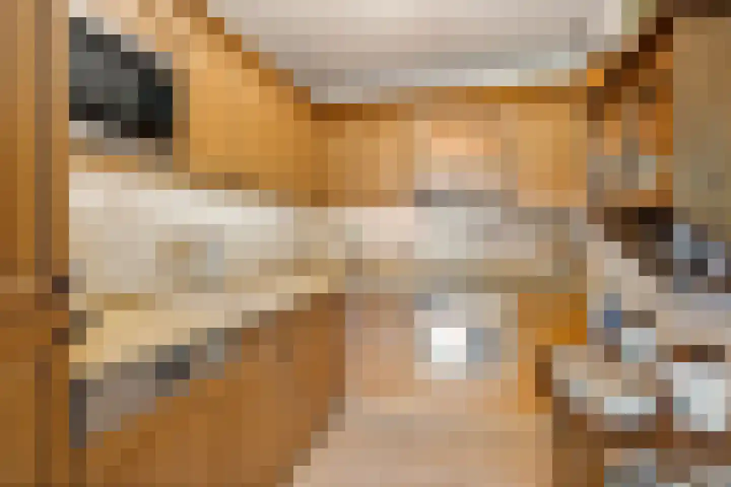 Du Meelaan 434 Zoetermeer thumbnail 30