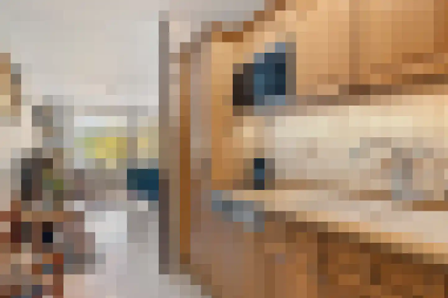 Du Meelaan 434 Zoetermeer thumbnail 31