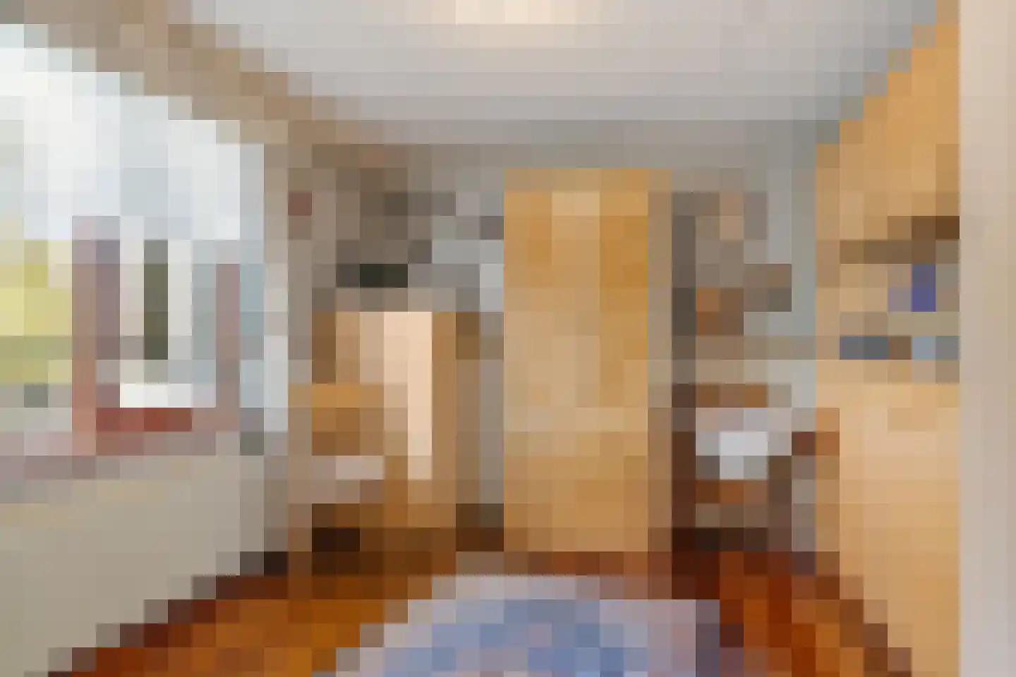 Du Meelaan 434 Zoetermeer thumbnail 36