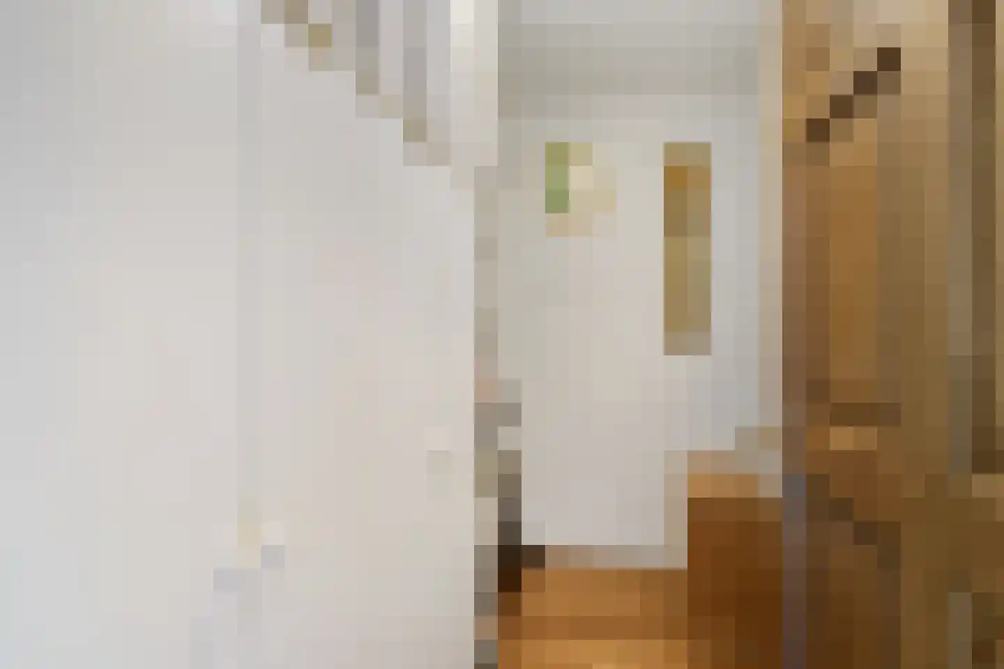 Du Meelaan 434 Zoetermeer thumbnail 38
