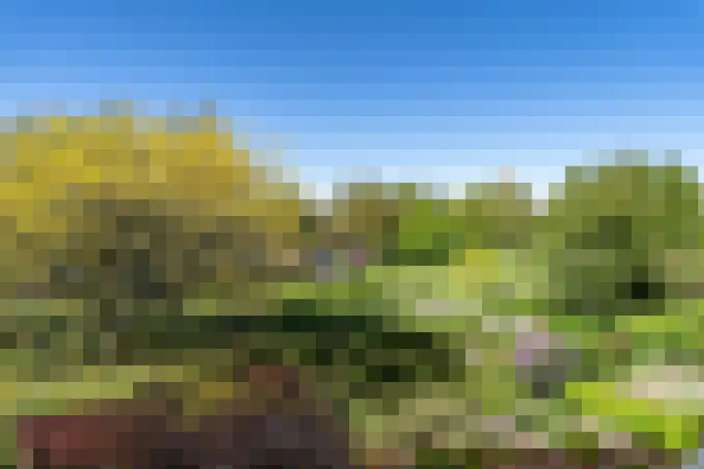 Du Meelaan 434 Zoetermeer thumbnail 42