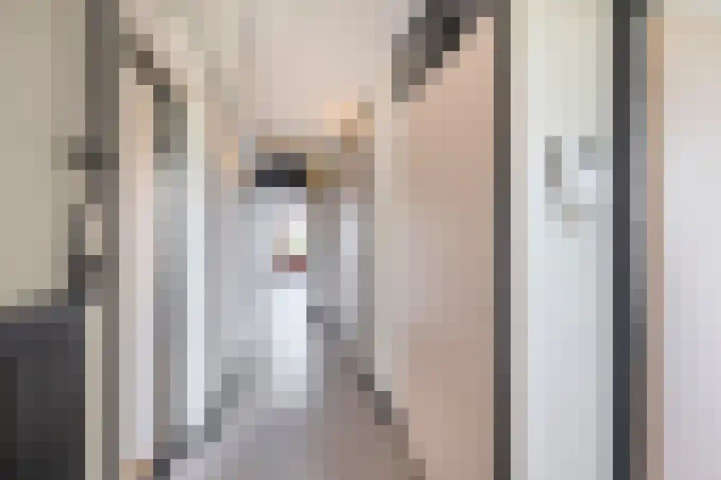 Du Meelaan 460 Zoetermeer thumbnail 10