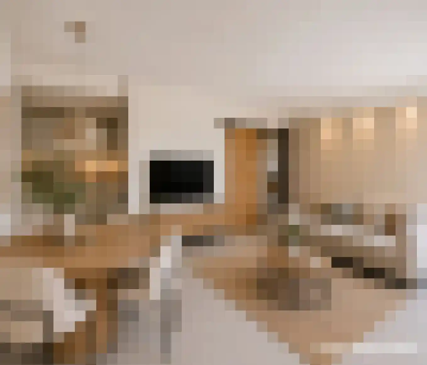 Du Meelaan 460 Zoetermeer thumbnail 26