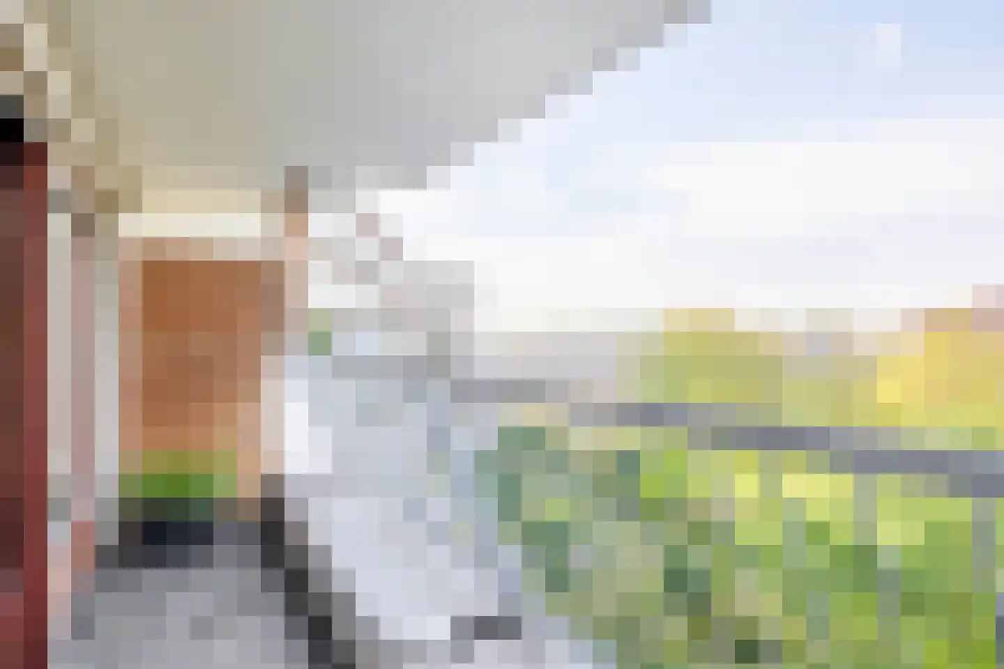 Du Meelaan 460 Zoetermeer thumbnail 27