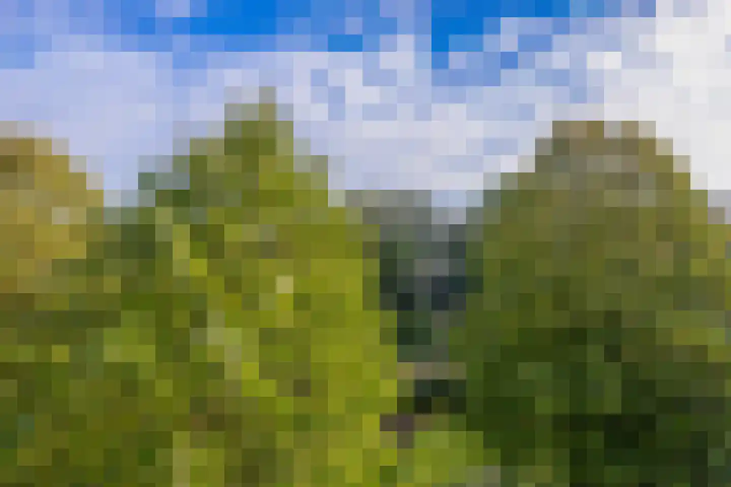Du Meelaan 460 Zoetermeer thumbnail 33