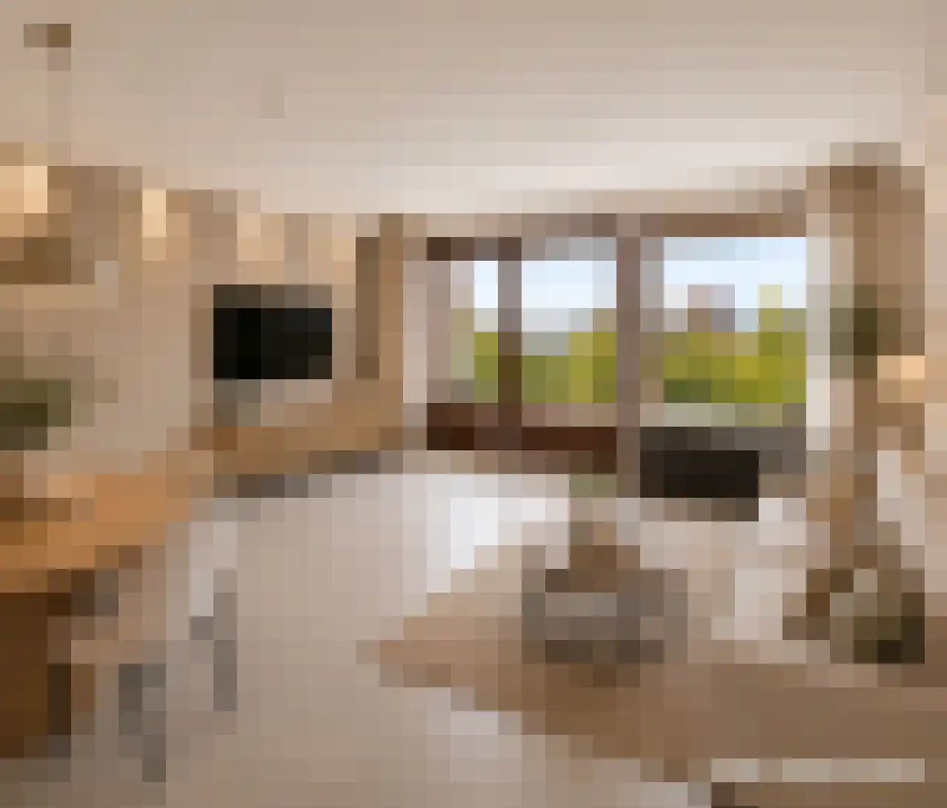 Du Meelaan 460 Zoetermeer thumbnail 4